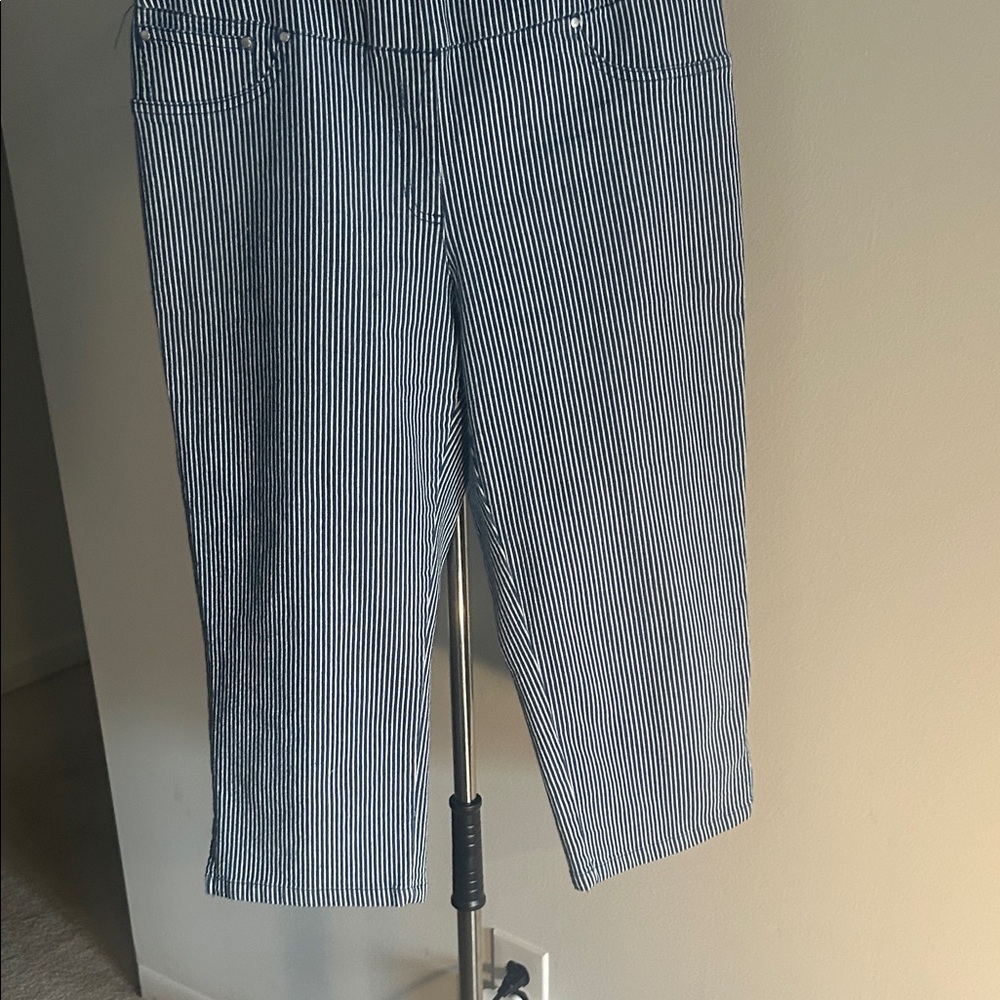 Ruby Rd. Navy and White Striped Capris